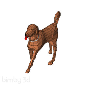 Dog01