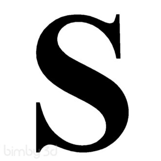 S_-_Times_New_Roman_3D_2726