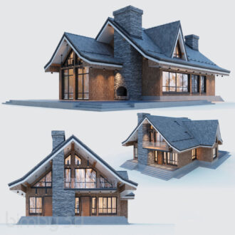 modern house 06