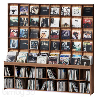Rack with vinyl records